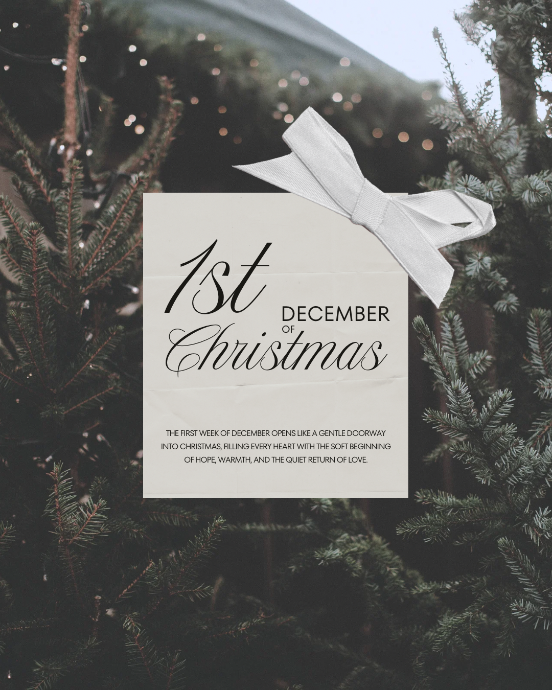 Whispers of Christmas Begin in December’s First Light